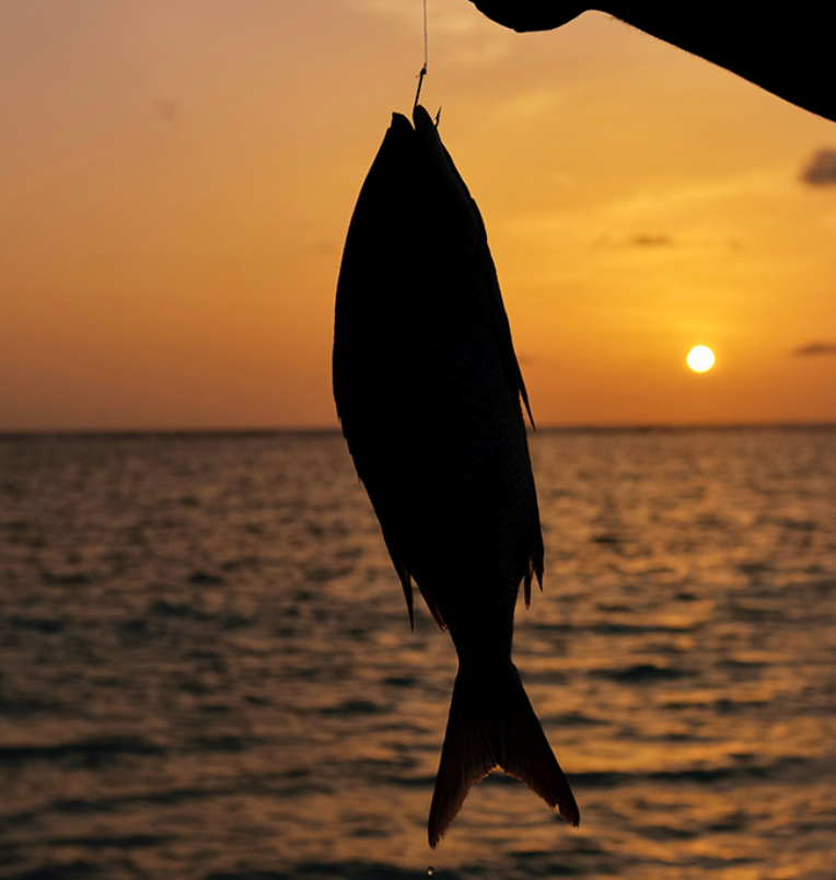 Traditional Fishing